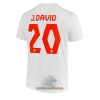 Officiële Voetbalshirt Canada Jonathan David 20 Uit WK 2022 - Heren